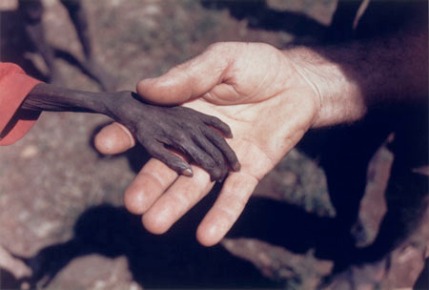 starving-hand-2.jpg